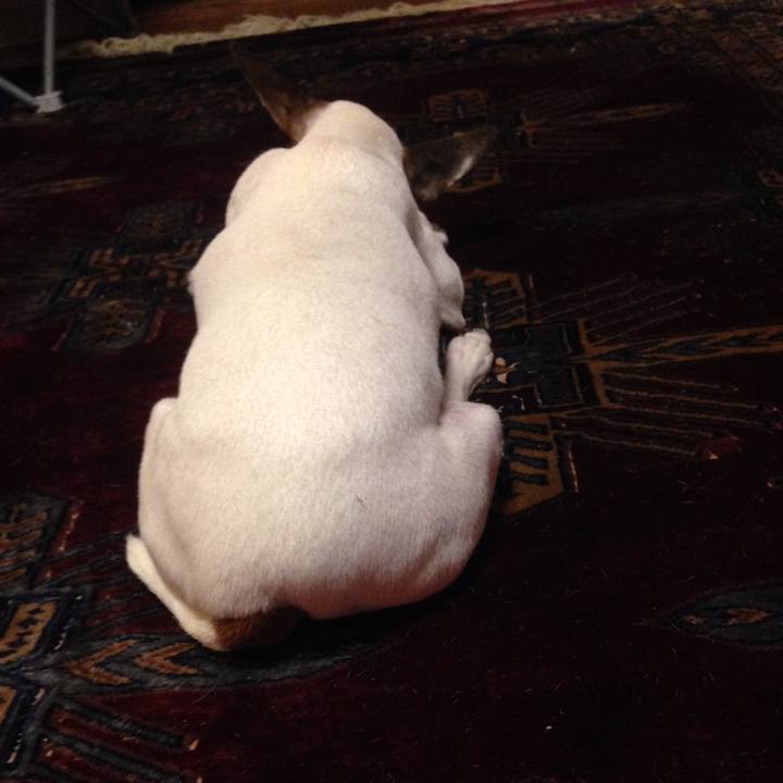 87cda92e 93b4 4bc1 a5a9 e0959cf10170