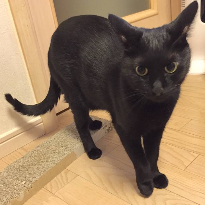 87cea8c5 6232 4f4d 9c25 d35dfa41d163