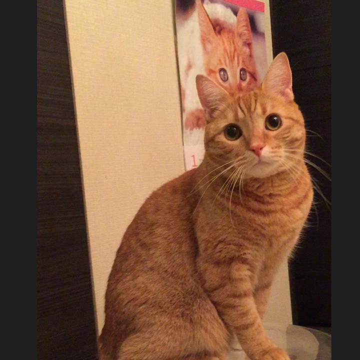 87cf3f8a 2be2 447e 955a 8cd1554e6778