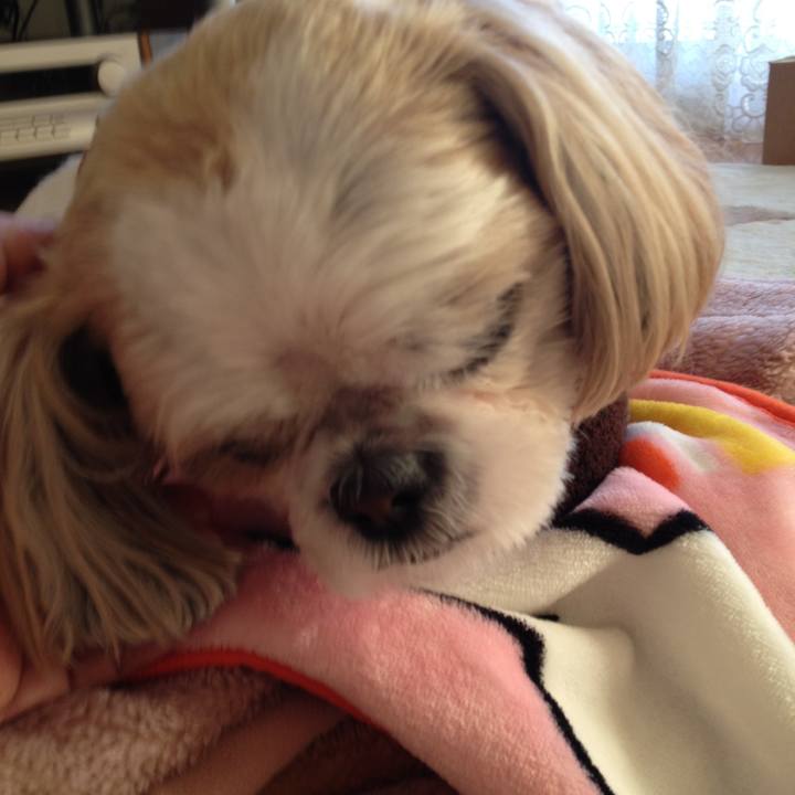 87cfda2c 2b92 4a89 9f38 877598a5d810