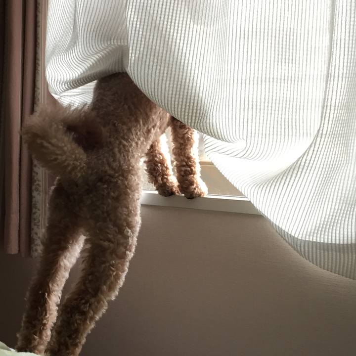 87d05f1a 06ff 4c19 87c3 1d060dcb78ce