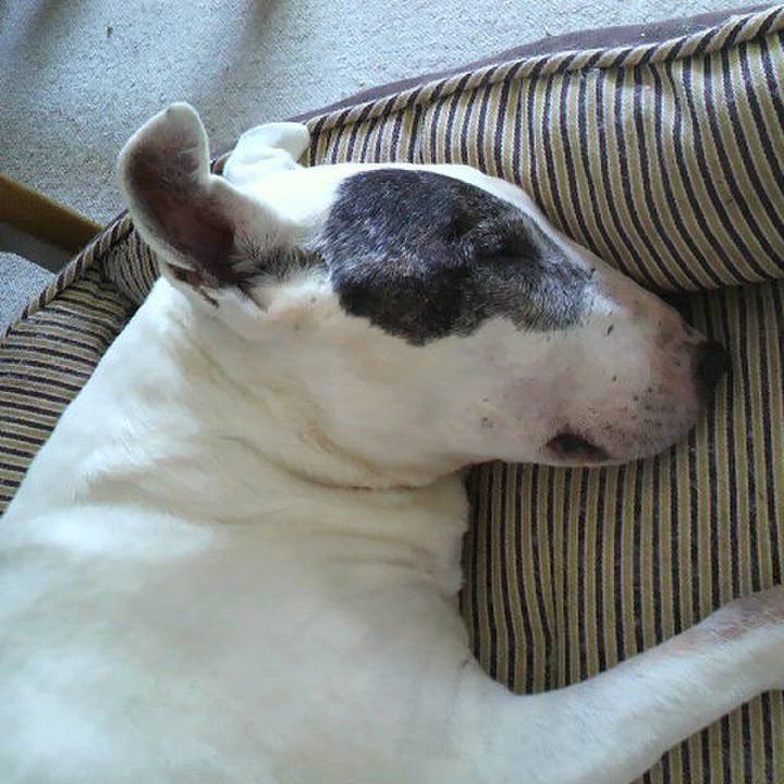 87d07014 81ba 4e4b 9db4 824af3b3a150