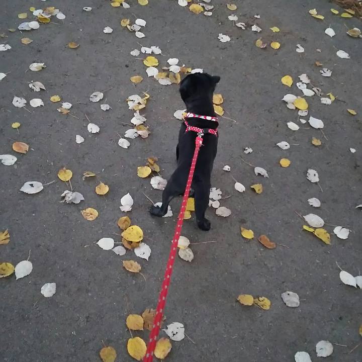 87d11fff cfcb 4d48 8ff3 79646d094a81