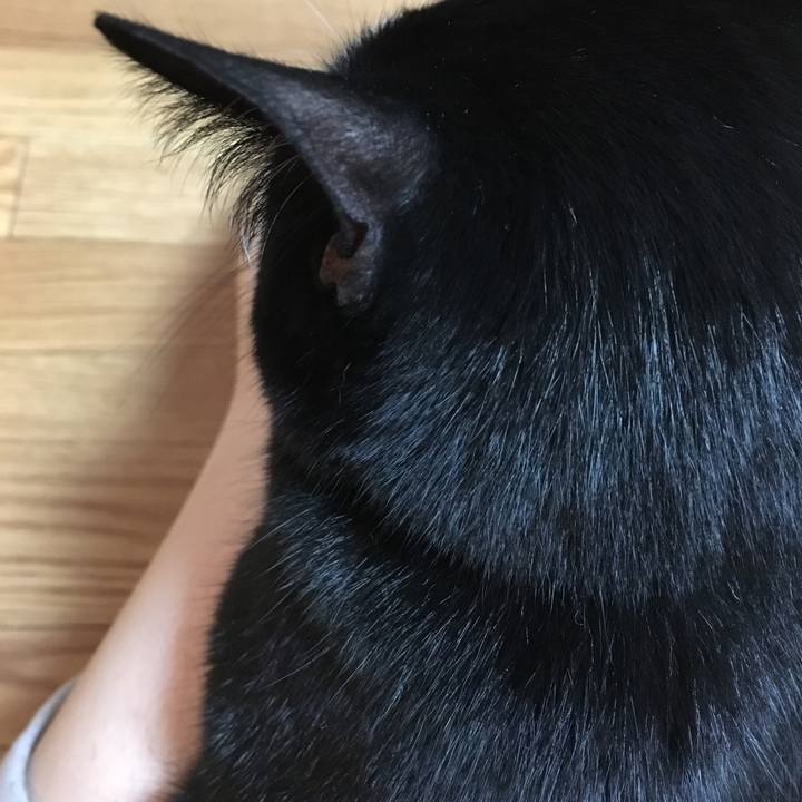 87d1340d f602 45ee 8f18 5a3d5eccbfa0