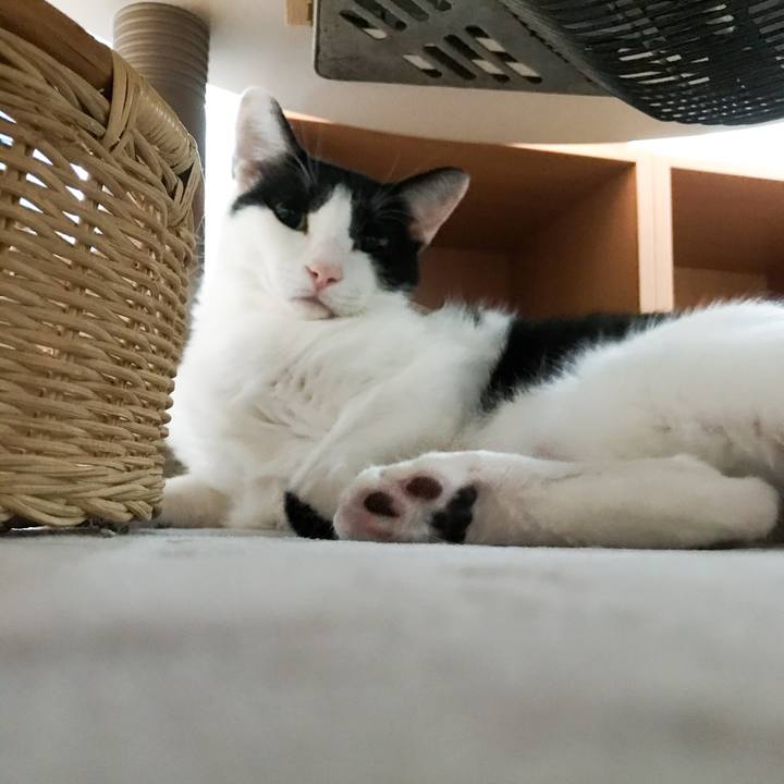 87d21c25 b739 49df 82a9 06cca1524e2d