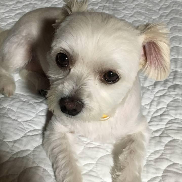 87d3973a 2620 499e b76c 40a5e948a3dd