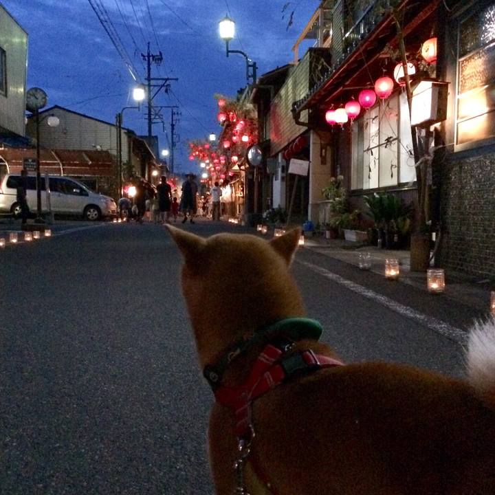 87d39fa5 7b1a 4f15 817f 850259715618