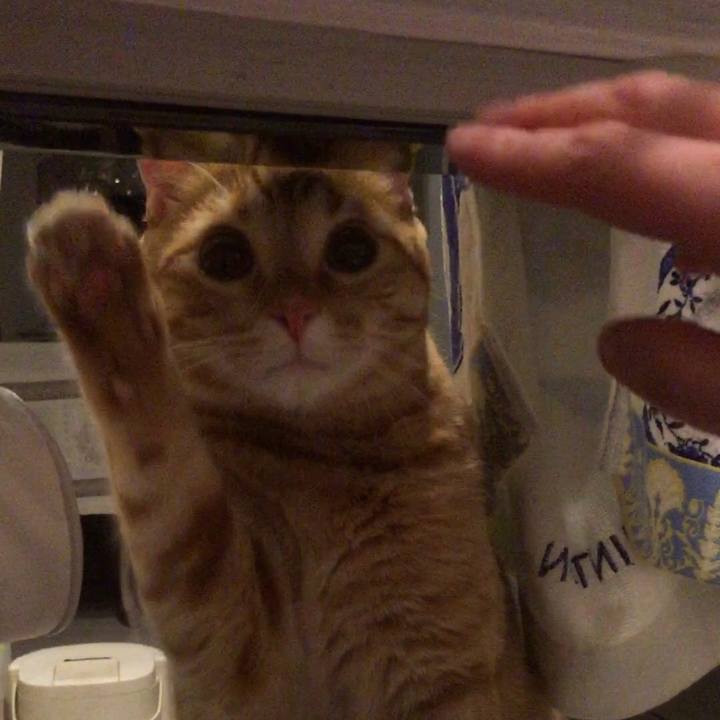 87d43a90 4f45 40a8 977a dd0b967f5ab9