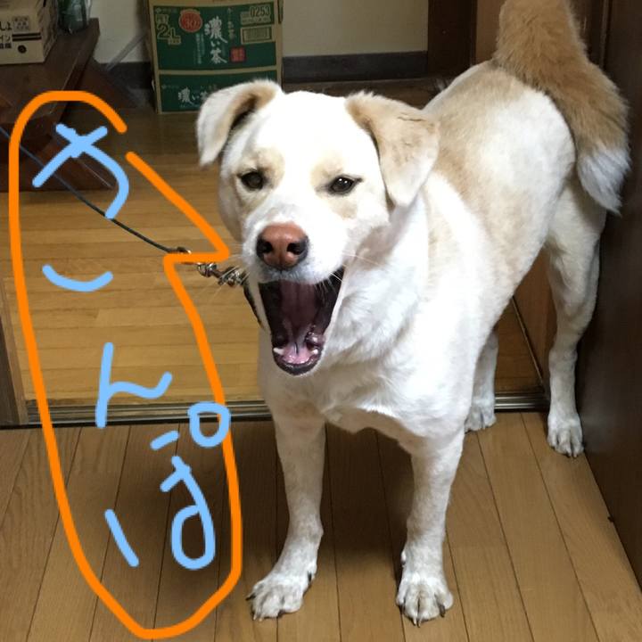 87d48ead 5254 4a01 a53b 9396b178affc