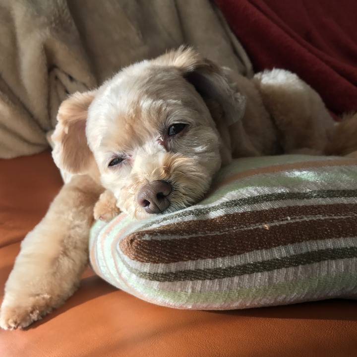 87d4dd6d 21ab 4deb ac3a f22f1bc6bda2