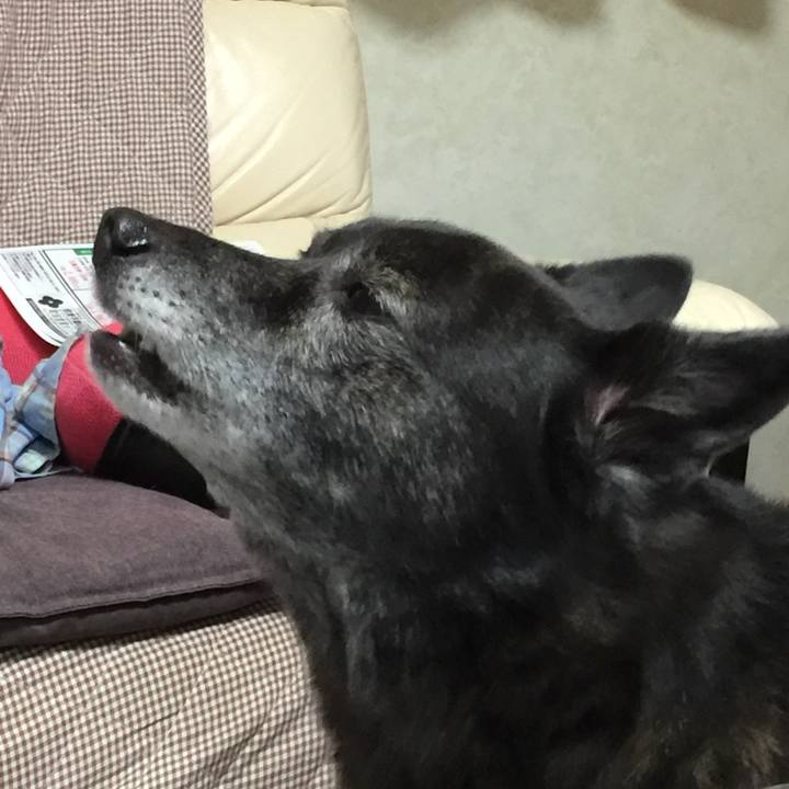 87d4fcfb 8c0a 47a9 b084 911ed12ad8a3