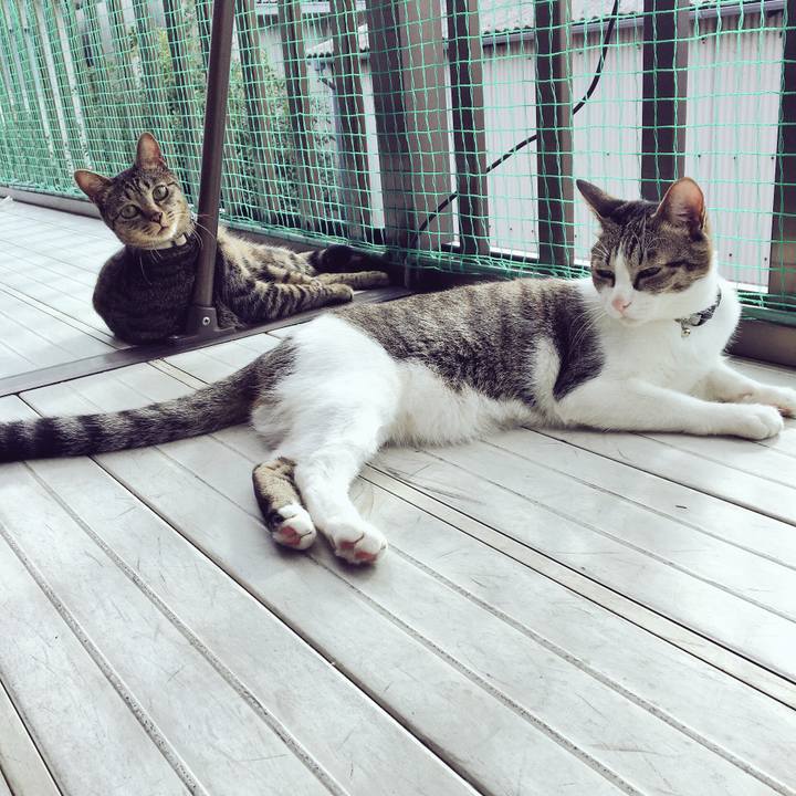 87d53d8e f4d7 46ab 880e fc8de63af766