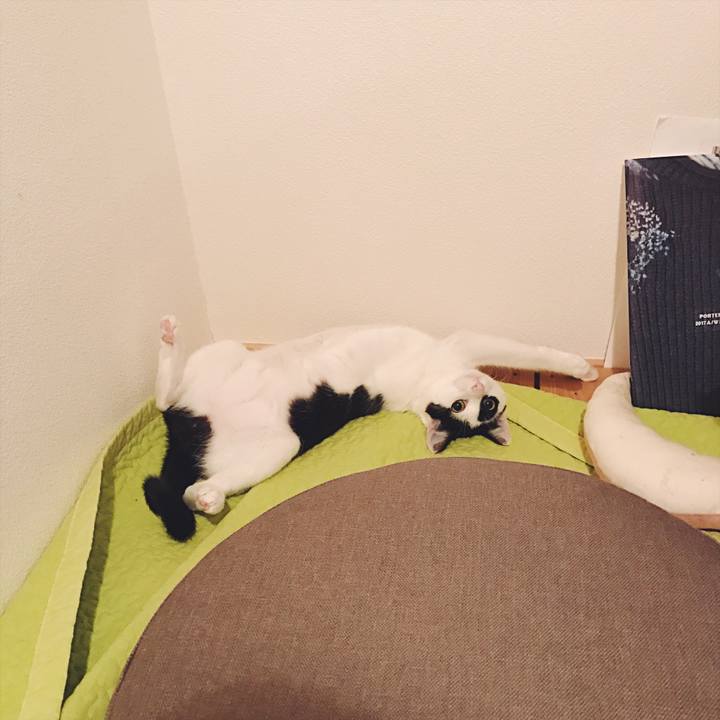 87d5a3b5 34e0 48b4 bdf7 7dd87a4c8176