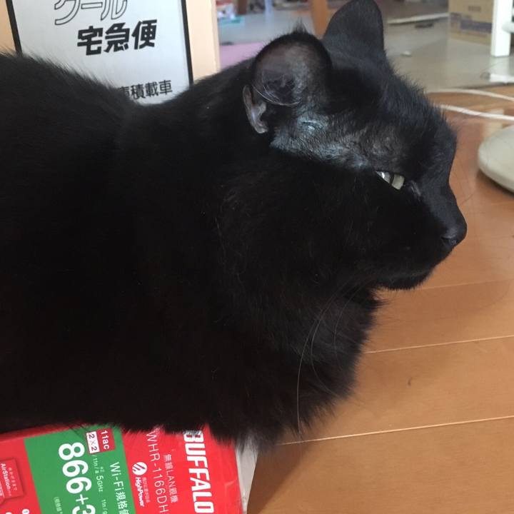 87d6b03c 1414 4666 b6b2 7a02e7e9f9dc