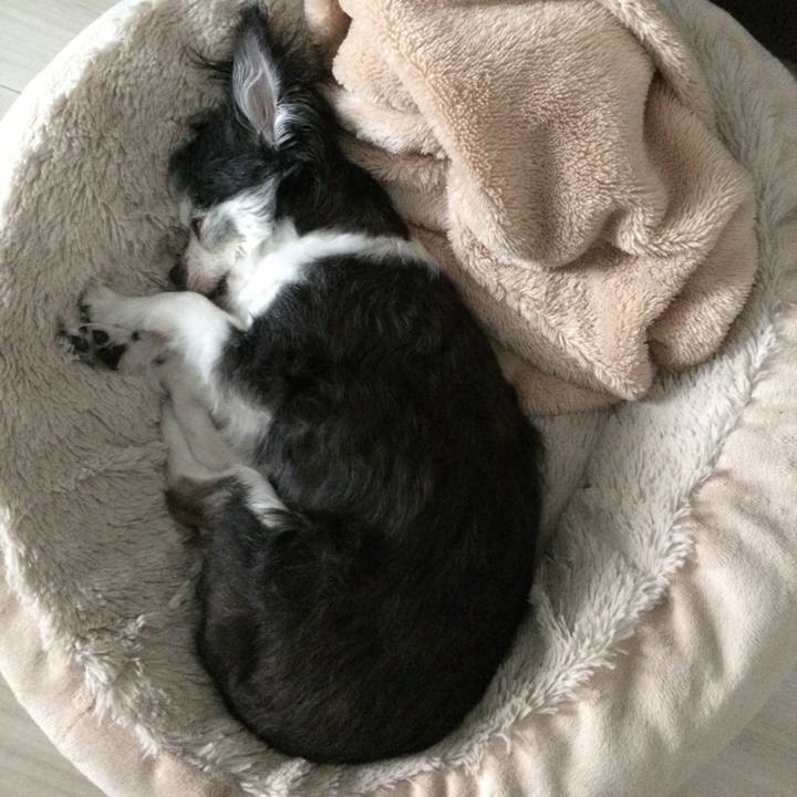 87d6d27a b0f5 497b a638 192e59ef7b10