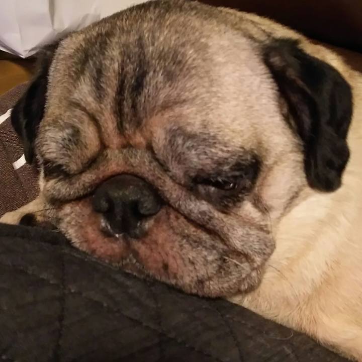 87d764b8 9d14 40c1 8f9d 06c3a26eacf4