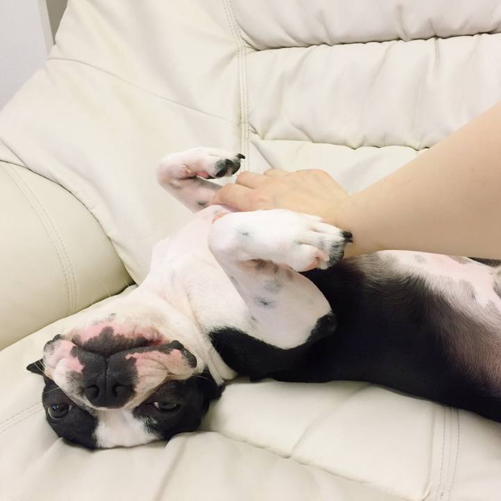 87d7dbf2 1b42 41f9 ba42 fbee5bf1d45d