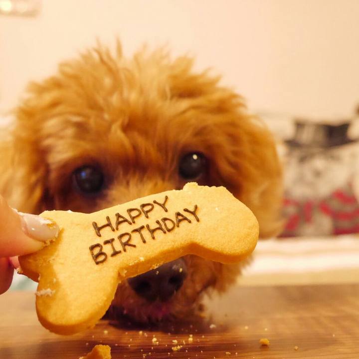 87d80d6a b4c2 4f72 9e2c e6de9c21d11e