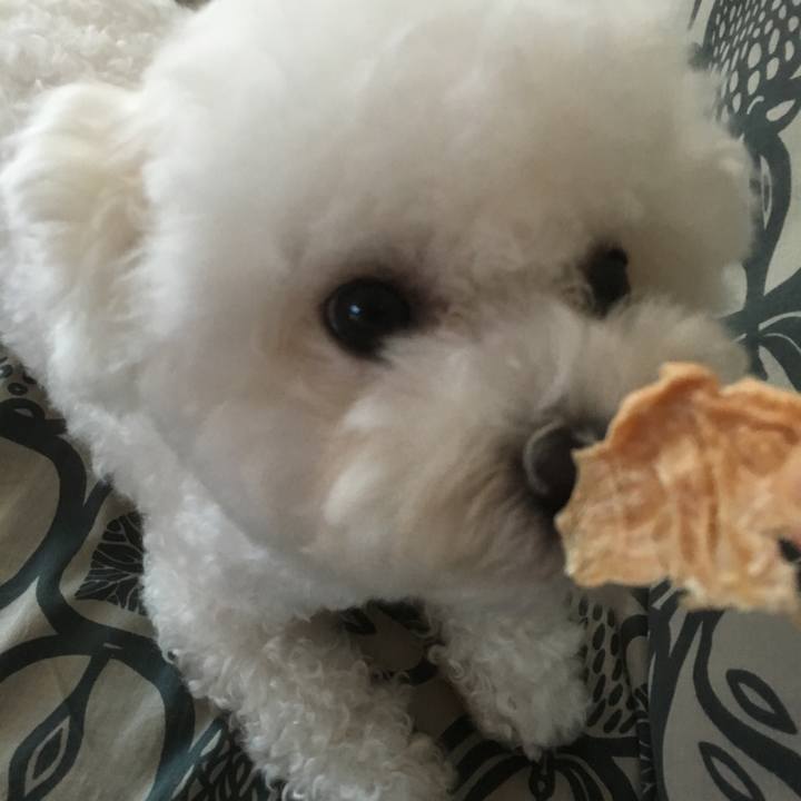 87d8c657 d364 45a4 8f1e a7daf4bd858d