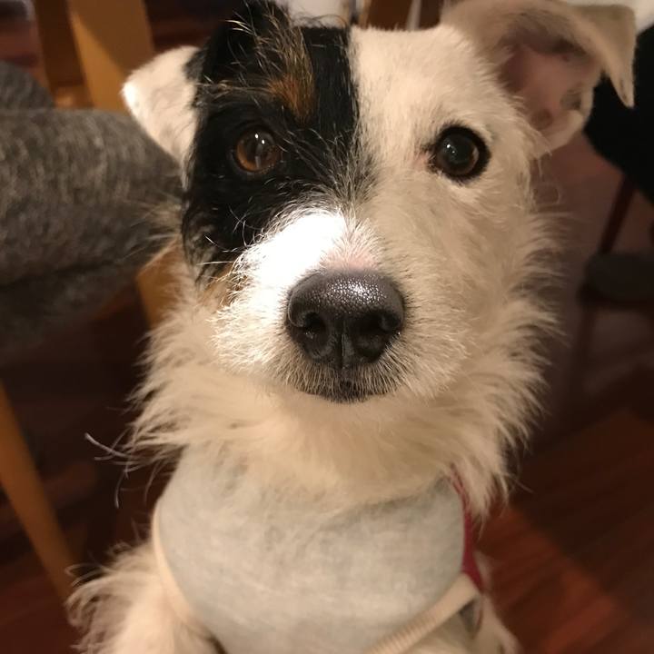 87d95b57 ef34 48a1 a750 b2678c943716