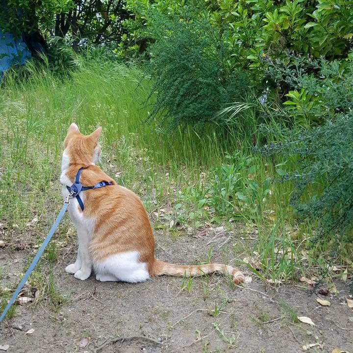 87d9fbe6 30d0 4706 9c6e b836dc6aa893