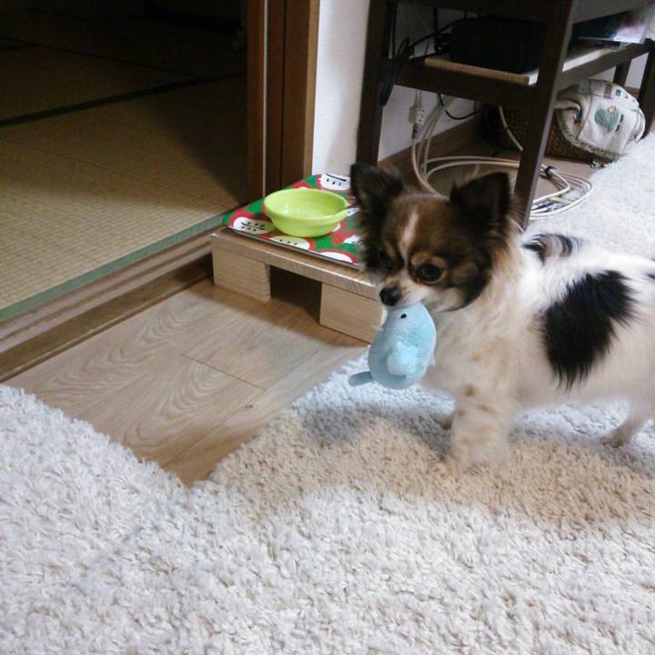 87da0d7a 6564 4cc1 93fb e64261c179a5