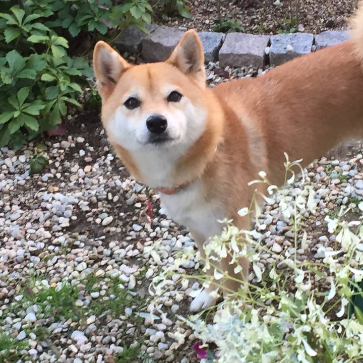 87daeea4 b8db 4c92 9d90 b2bf4280da46