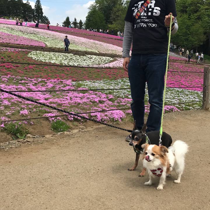 87dbc8ae d4f7 445d ad89 6c9a58913163