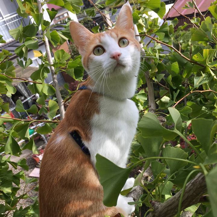 87dc8890 c5df 440d b78f 4a19f394f470