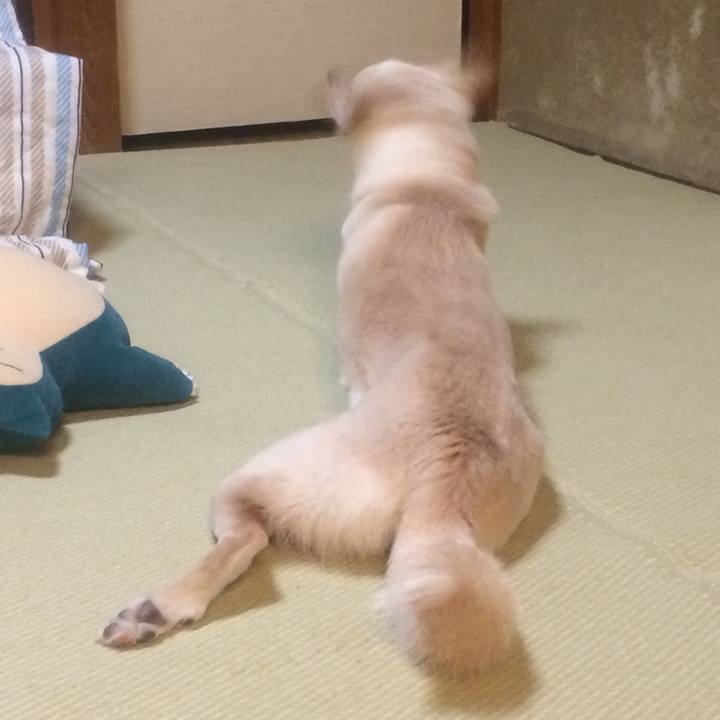 87dc947e e84c 4771 aa8a b621d37f49e6