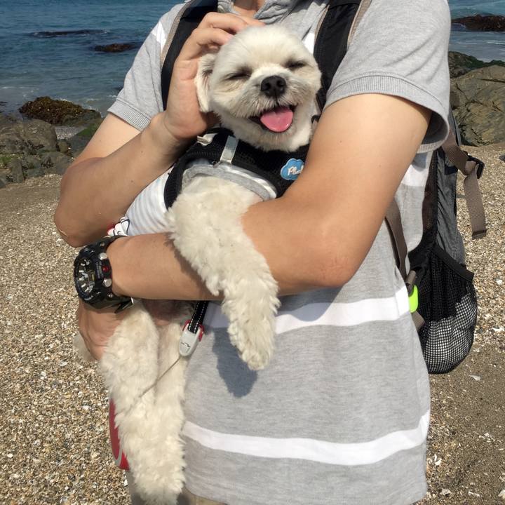 87dd37af 4d44 468f 9027 a2448c689473