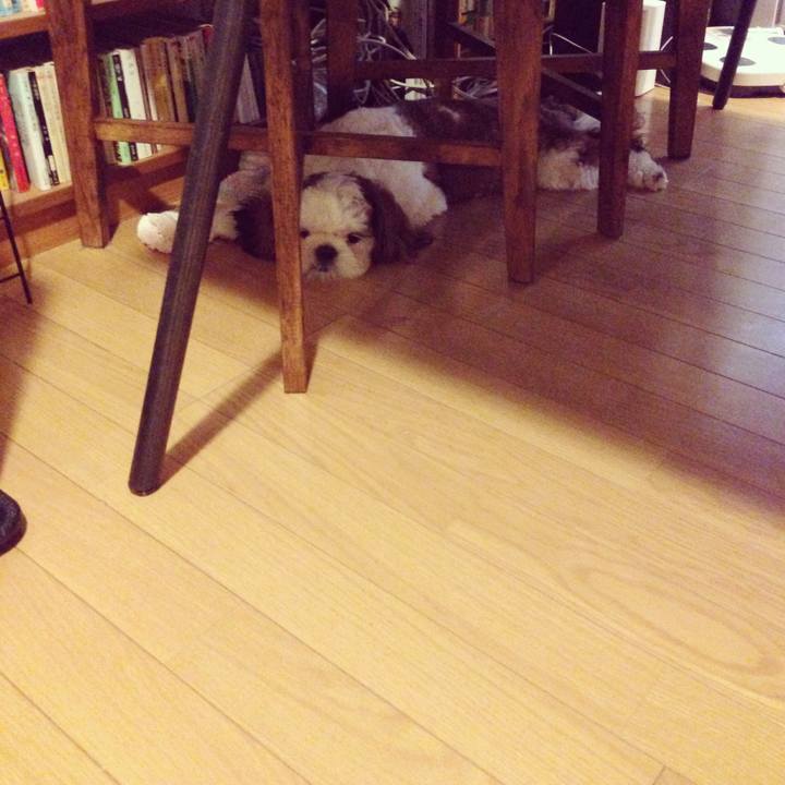 87dd5c32 e25c 4ded a113 b7617e62a5f6