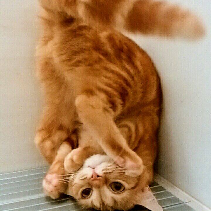 87dd8307 41de 48a8 97c9 9ec3749262fc