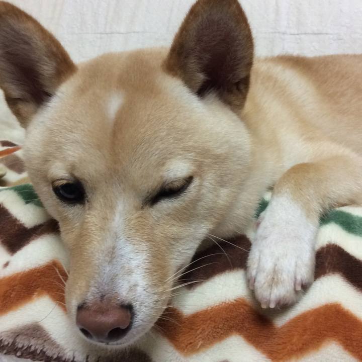 87ddd6dc dcf6 4f08 bb25 a6395e68c5ec