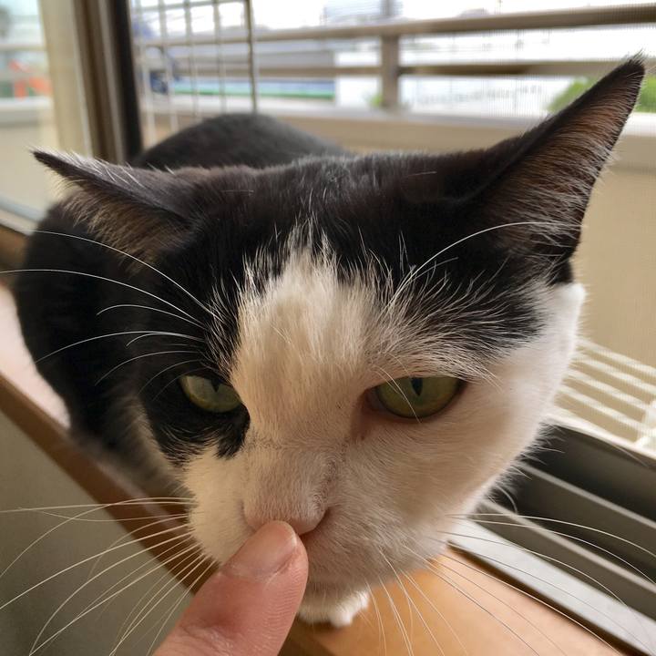 87deeb82 3f50 46b8 9054 359e41aeb1a1