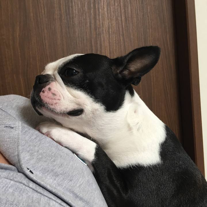 87df10f8 ce3f 43bf b454 7fc8468e692a