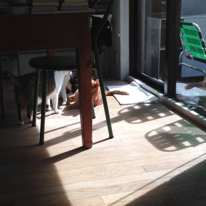 87df6160 cd87 4273 823a 6020942d70e2