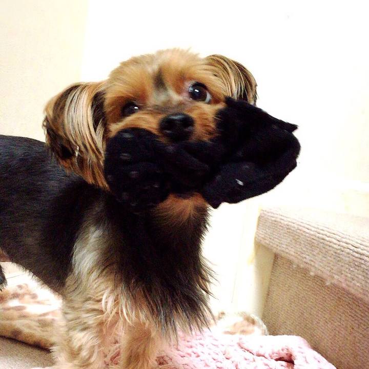 87df7b81 89c9 4dee 9f2d 2d31bee78f4c