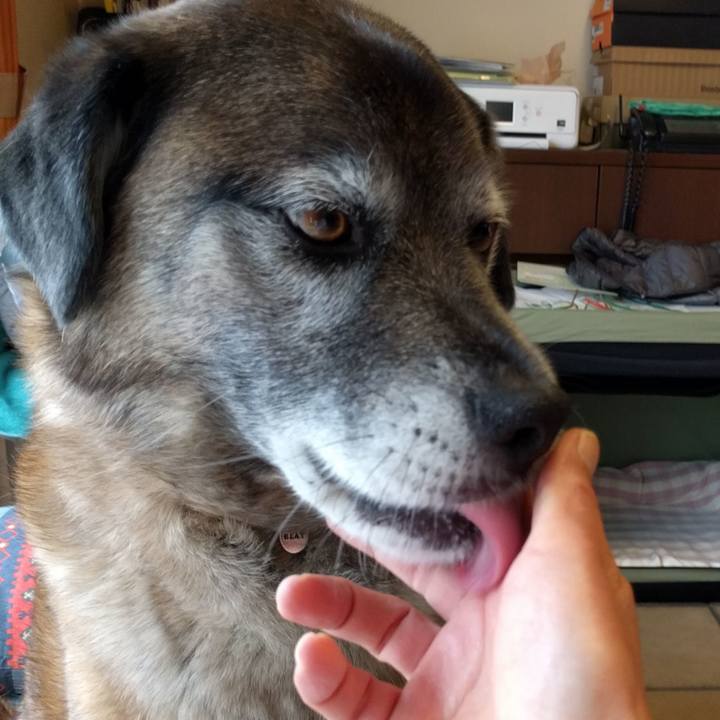 87e102eb 7a6e 483c a85a 99d83269b9b3