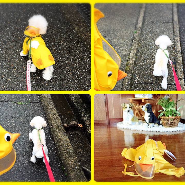 87e1a025 0cd5 4127 ae27 e390c19453c6