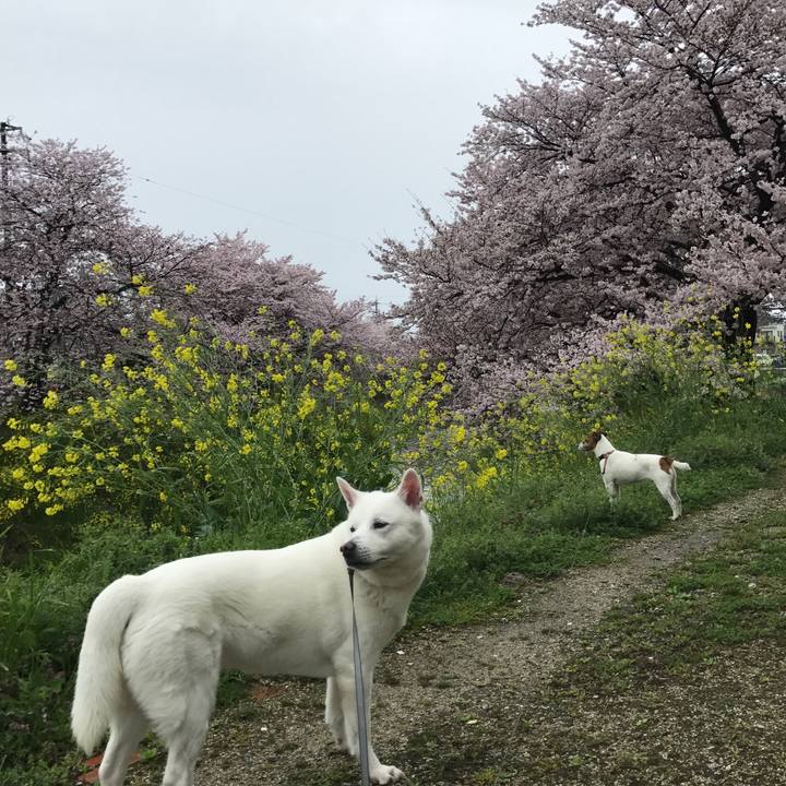 87e2769a e029 47aa abba c50e6ef8805c