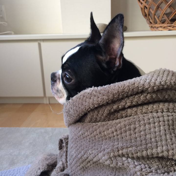 87e282be cad5 4e8e 9d6b 026dfc17354b