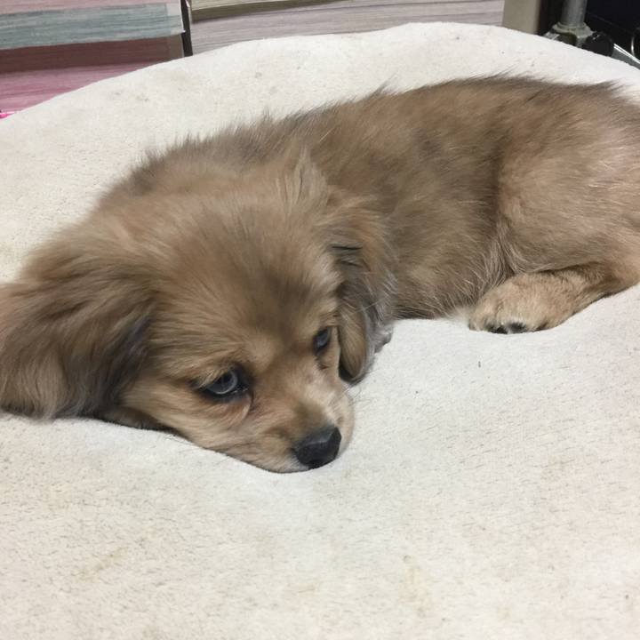 87e29542 38fb 4ba8 90fd 9e3600dea861