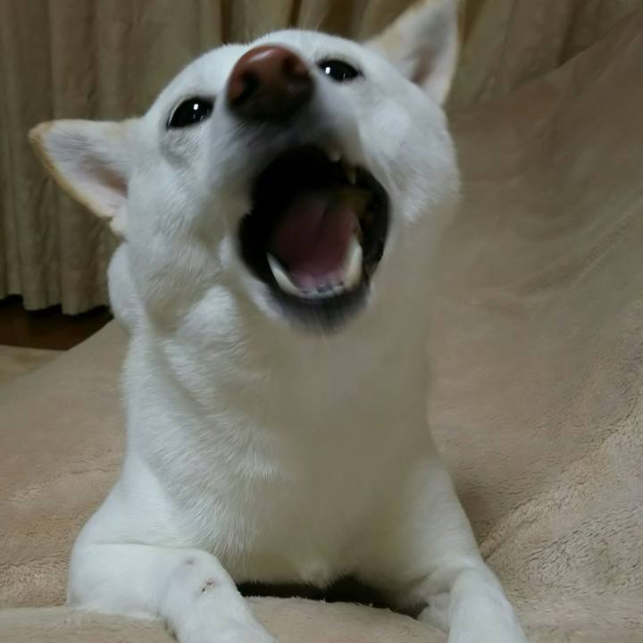 87e30647 c353 43c4 a2d4 ccc0eed6a028