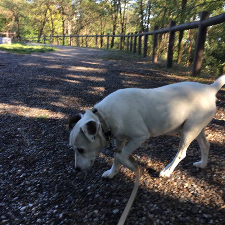 87e31550 7f87 4434 b223 a7f8e0ebe55c