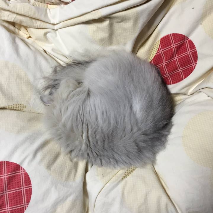 87e34e5f b8bb 4f18 bc60 07cd1b097411