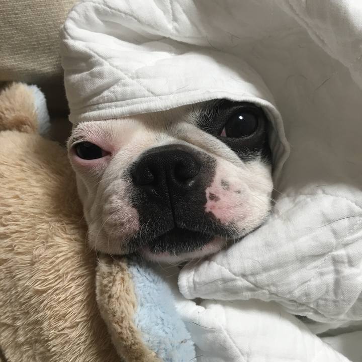 87e51928 acda 495c be0a 3f7936537a55