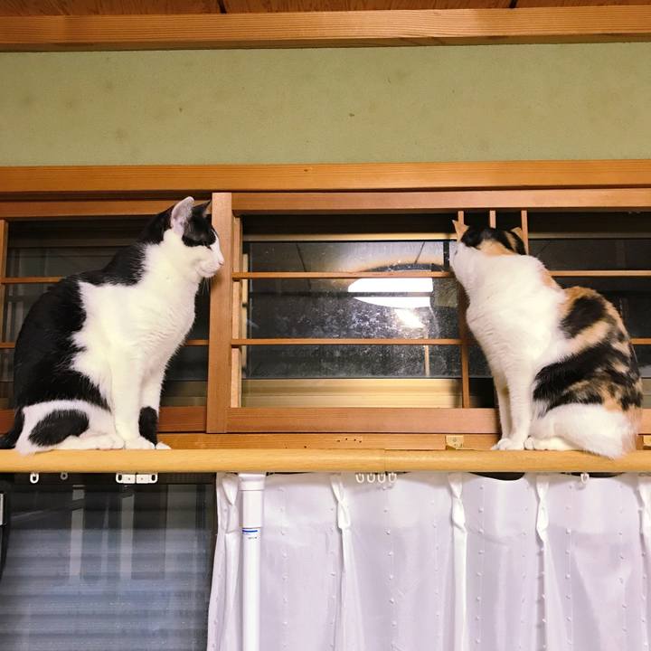 87e56312 2e93 487e 984f d00dadb753ed