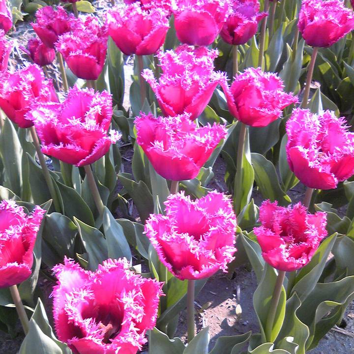 87e5b279 43bc 4f0c bf12 708c34956cbd