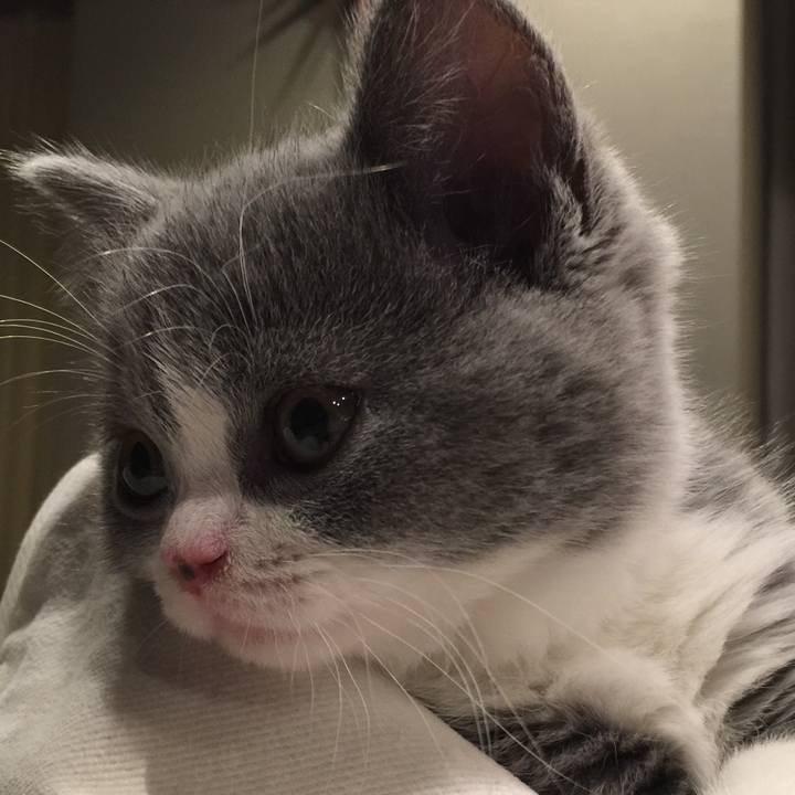 87e5de8e 8021 4138 ba5a e4e73256cfa7